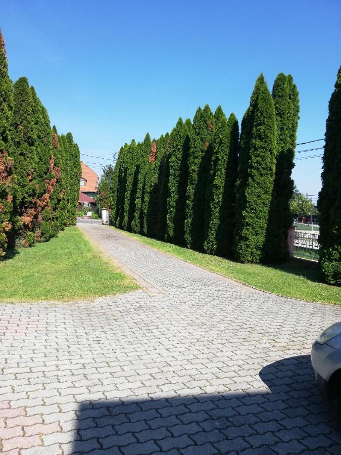 Berkenye Apartman Daire Zalakaros Dış mekan fotoğraf
